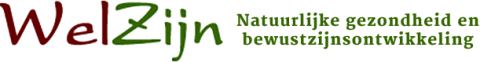 Logo Praktijk WelZijn V3